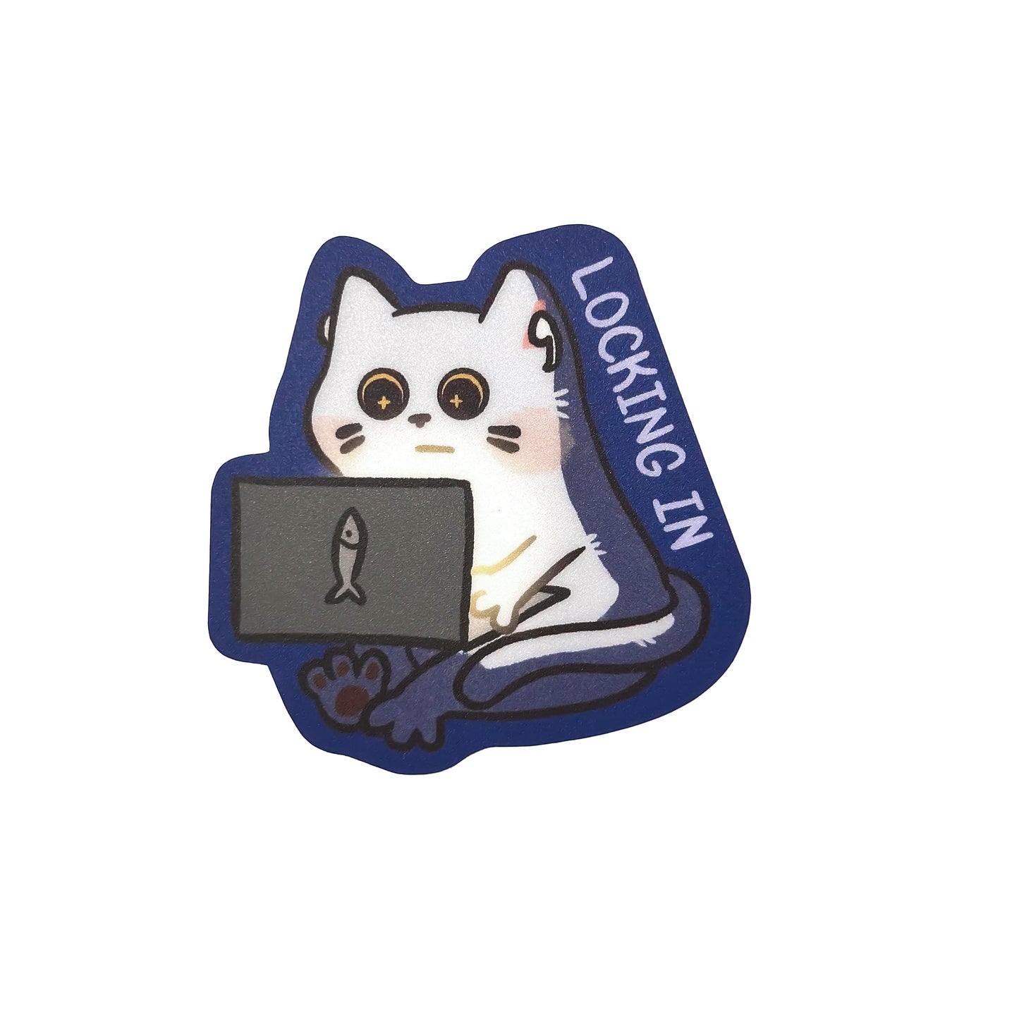 Locking In Cat